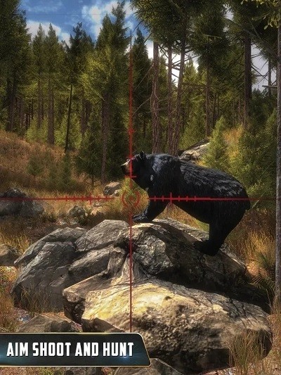 动物猎人丛林狙击手游戏下载