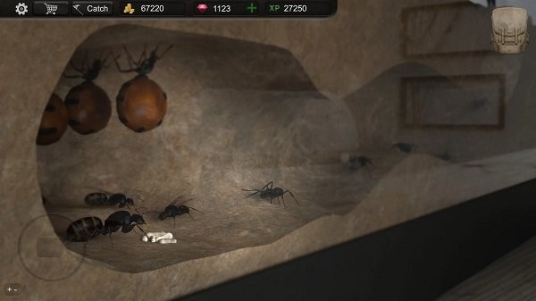 蚂蚁模拟大亨游戏下载