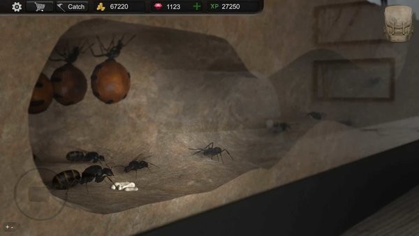 蚂蚁模拟大亨免费版