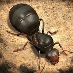蚂蚁进化崛起最新版