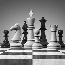 简单国际象棋最新版