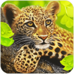 豹子模拟器游戏(The Leopard)