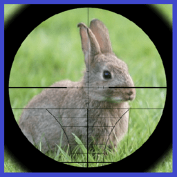 兔子猎人3d手机版